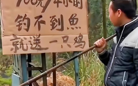 免费送土鸡反而狂赚135万?揭秘农村养殖场的反套路吸金术