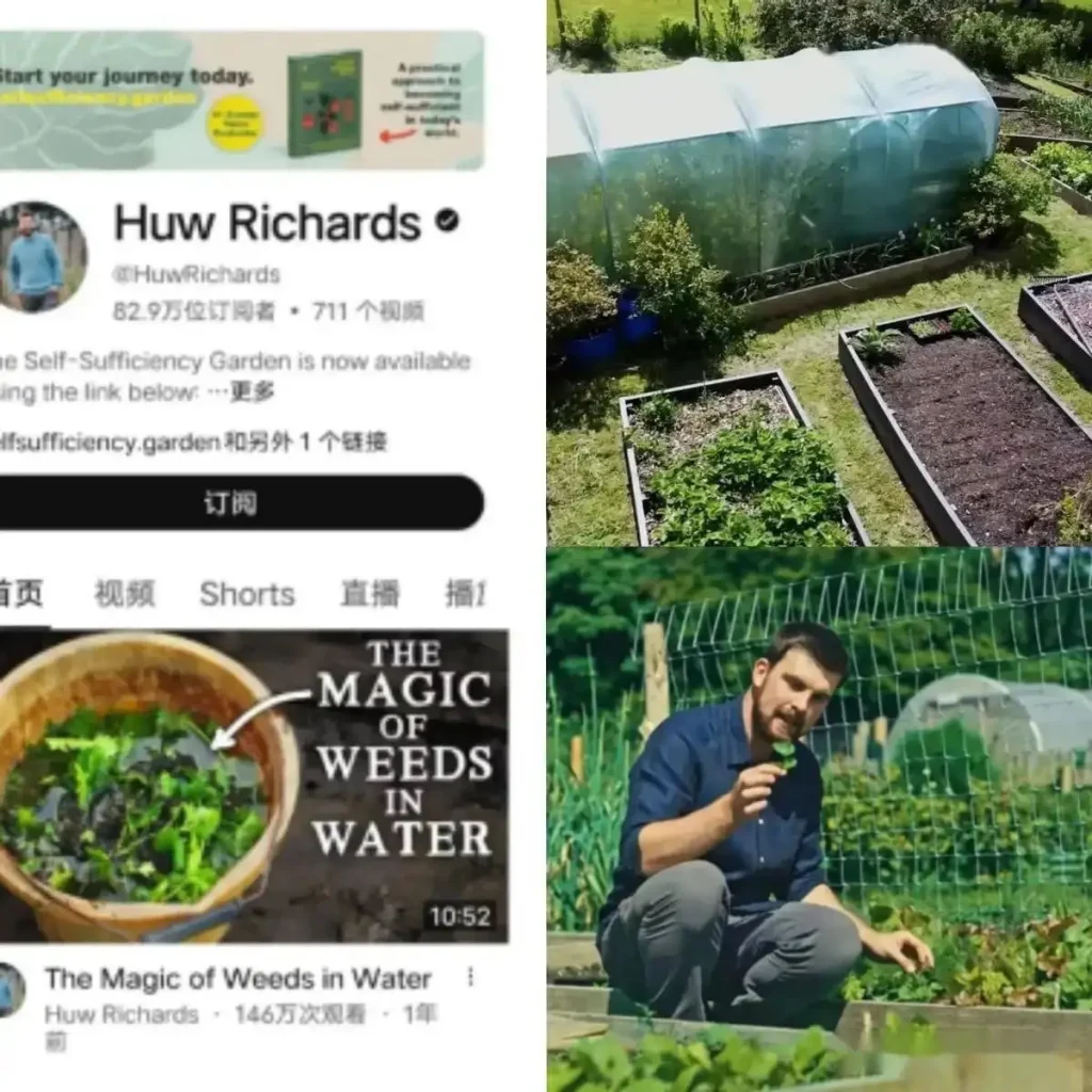 240万粉丝围观！英国小伙的“一米菜园”如何实现收入翻10倍？